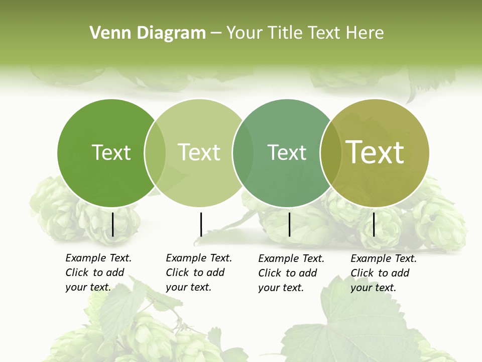 Isolated Drunk Aroma PowerPoint Template