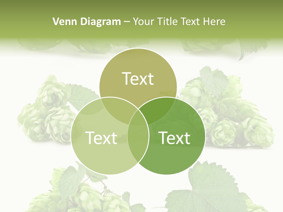 Isolated Drunk Aroma PowerPoint Template