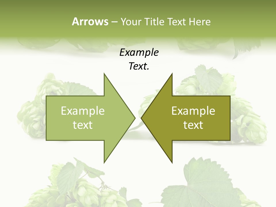 Isolated Drunk Aroma PowerPoint Template