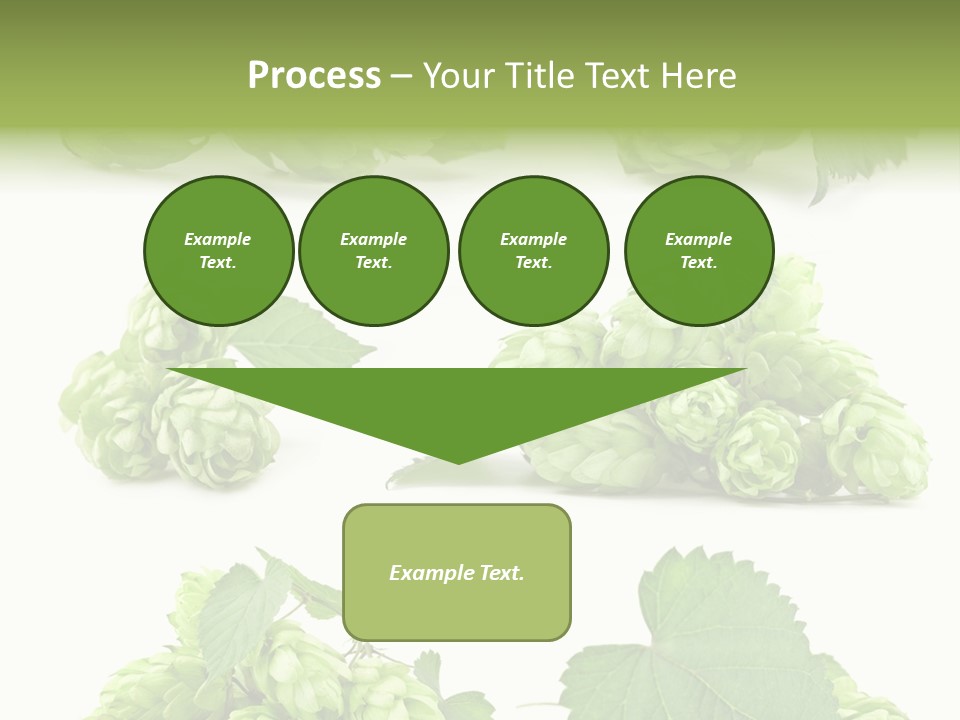 Isolated Drunk Aroma PowerPoint Template