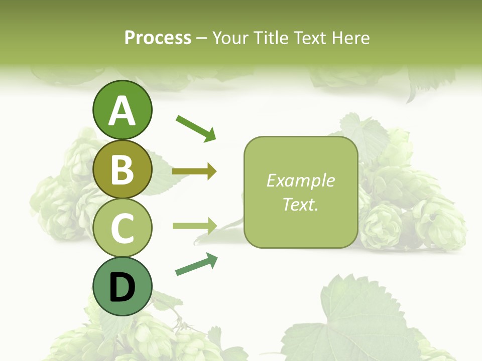 Isolated Drunk Aroma PowerPoint Template