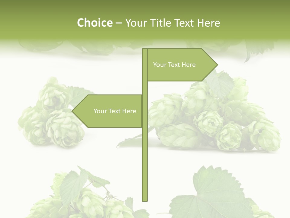 Isolated Drunk Aroma PowerPoint Template