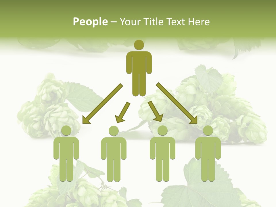 Isolated Drunk Aroma PowerPoint Template