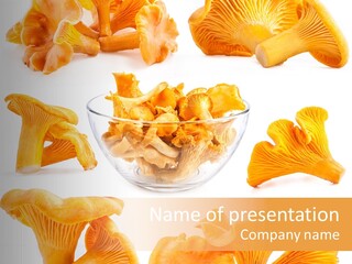 Summer Seasonal Closeup PowerPoint Template