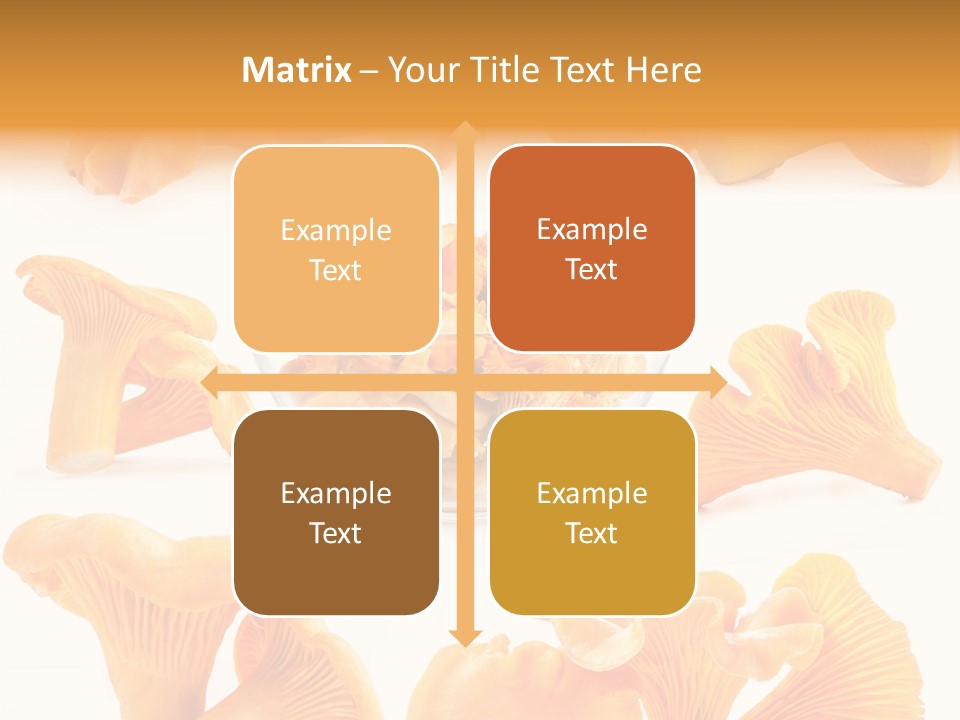 Summer Seasonal Closeup PowerPoint Template