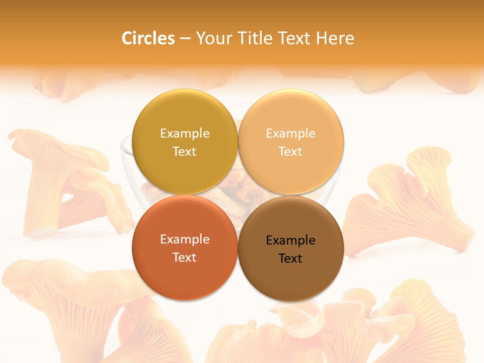 Summer Seasonal Closeup PowerPoint Template