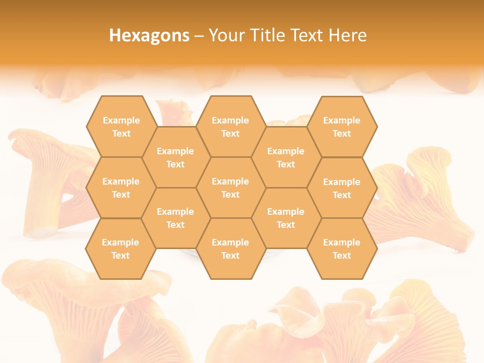 Summer Seasonal Closeup PowerPoint Template