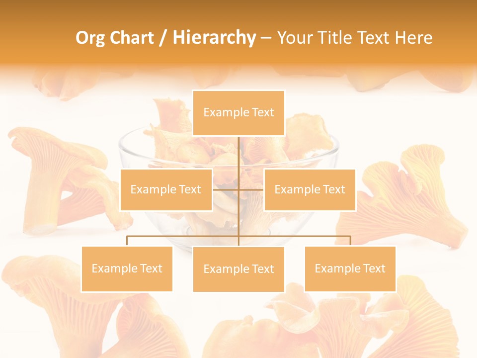 Summer Seasonal Closeup PowerPoint Template