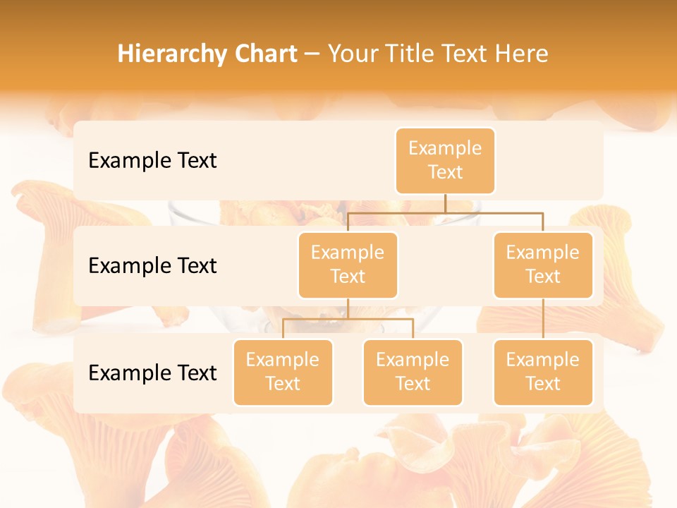 Summer Seasonal Closeup PowerPoint Template