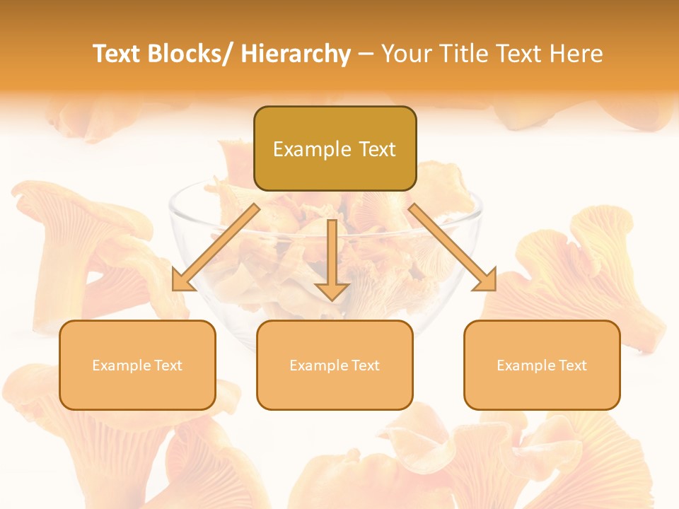 Summer Seasonal Closeup PowerPoint Template