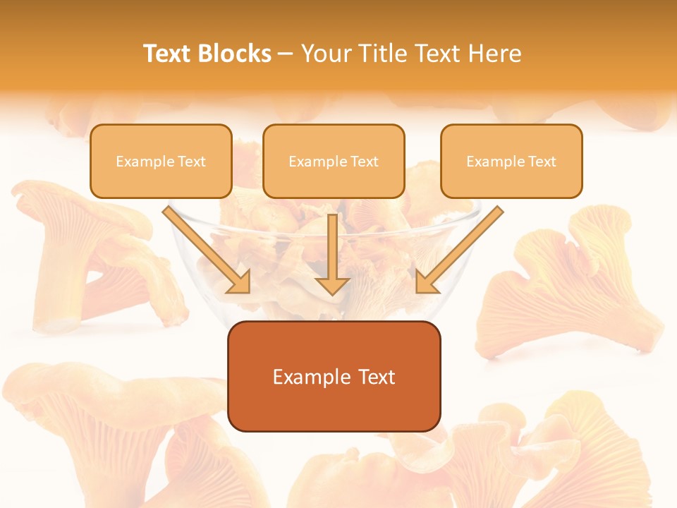 Summer Seasonal Closeup PowerPoint Template