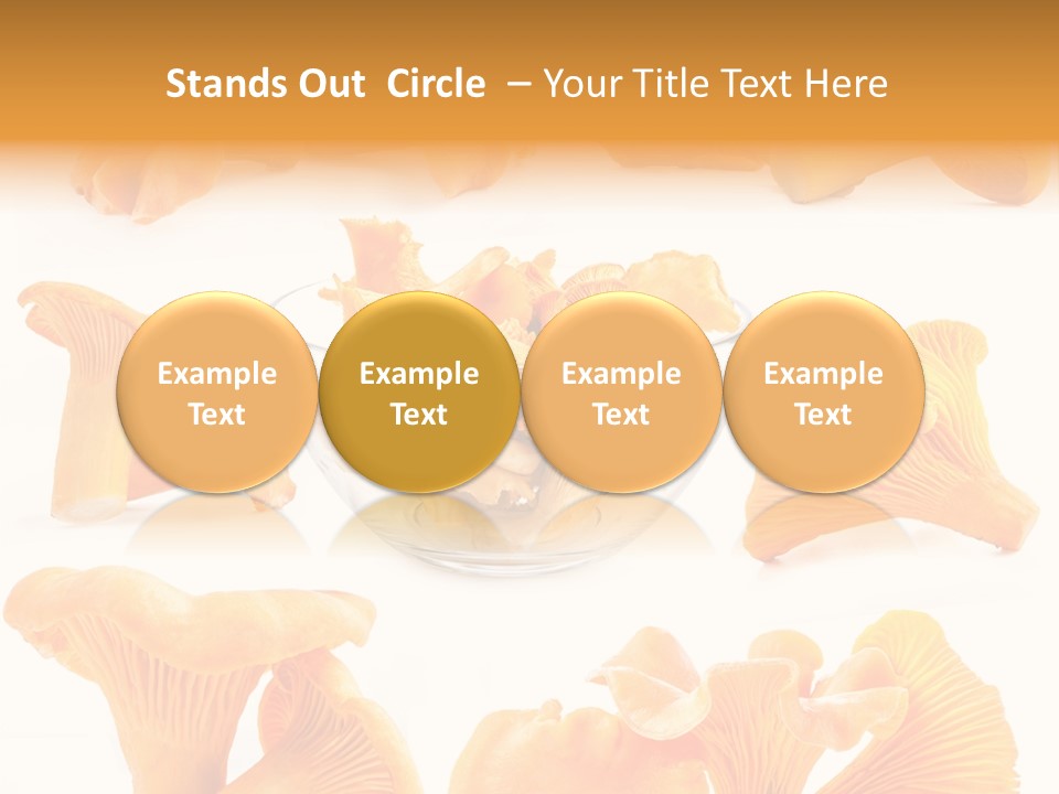 Summer Seasonal Closeup PowerPoint Template