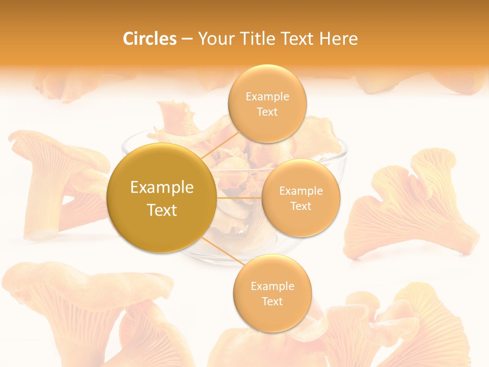 Summer Seasonal Closeup PowerPoint Template