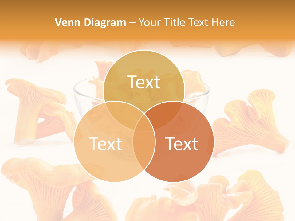 Summer Seasonal Closeup PowerPoint Template