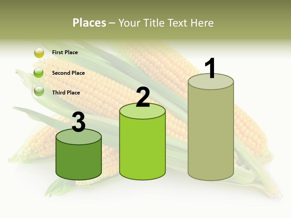 Grain Wet Nutrition PowerPoint Template