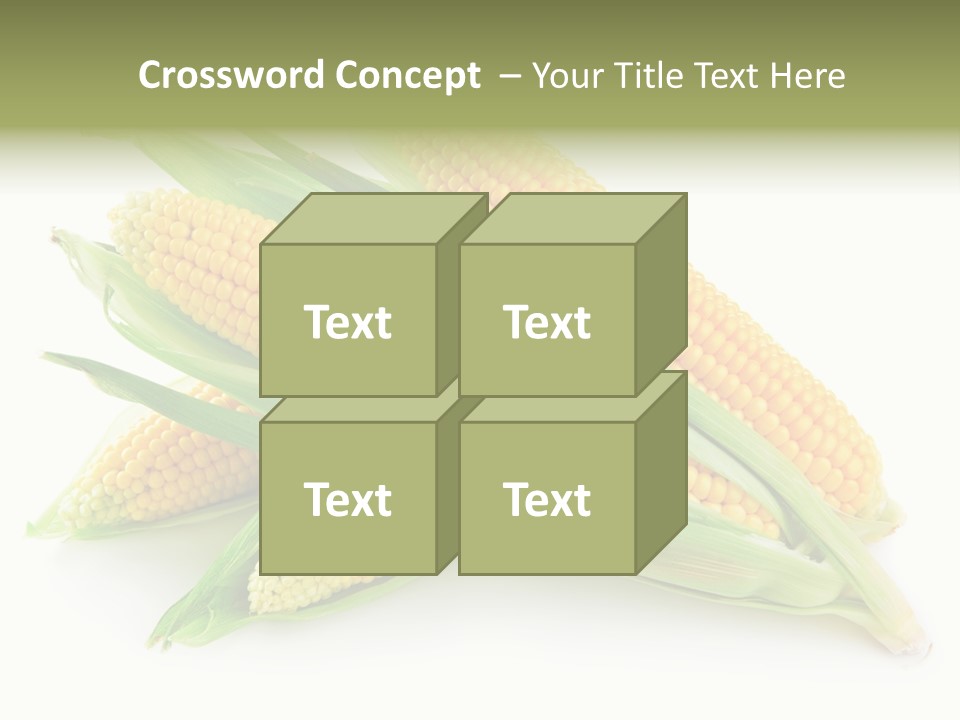Grain Wet Nutrition PowerPoint Template