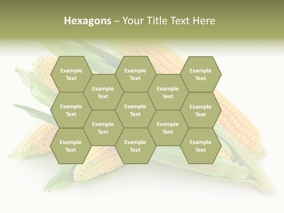 Grain Wet Nutrition PowerPoint Template