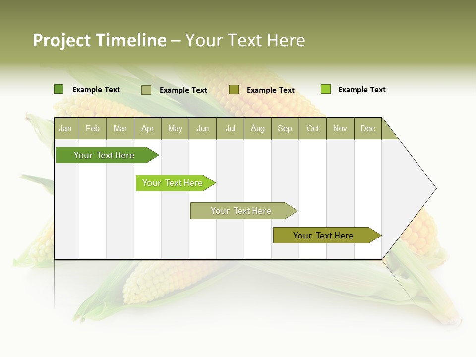 Grain Wet Nutrition PowerPoint Template