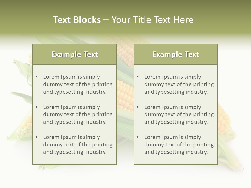 Grain Wet Nutrition PowerPoint Template