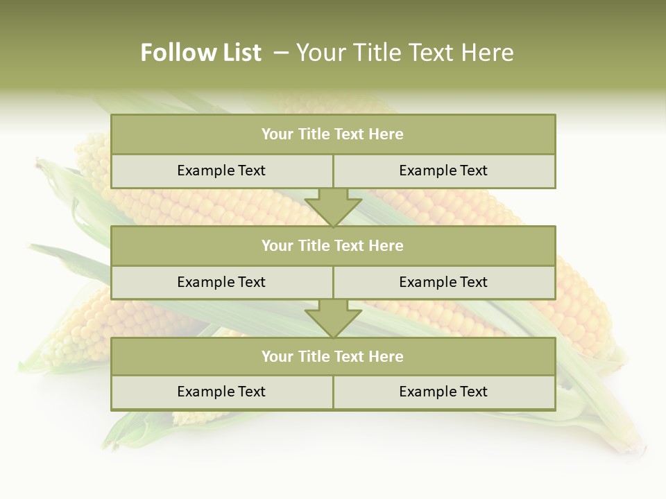 Grain Wet Nutrition PowerPoint Template
