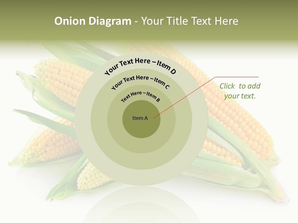 Grain Wet Nutrition PowerPoint Template