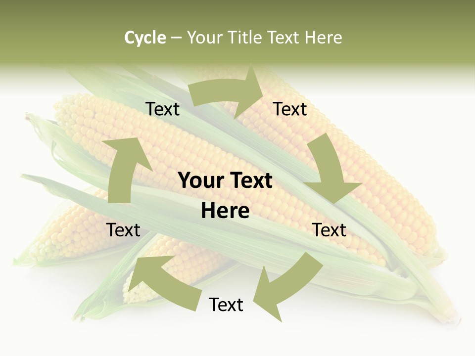 Grain Wet Nutrition PowerPoint Template