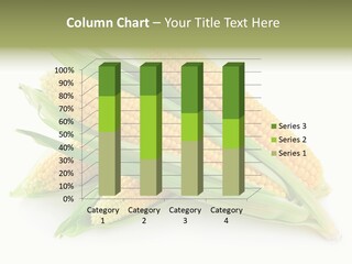 Grain Wet Nutrition PowerPoint Template