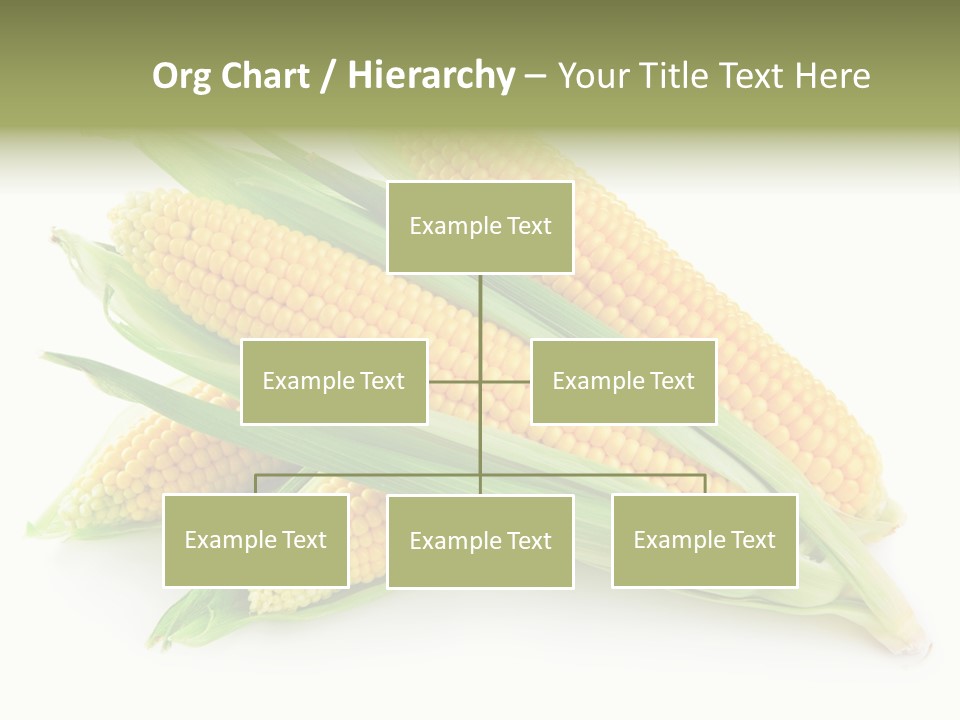 Grain Wet Nutrition PowerPoint Template