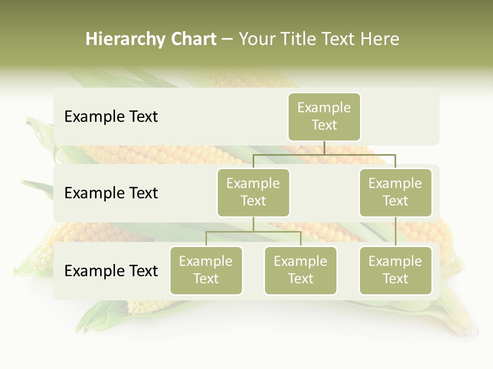Grain Wet Nutrition PowerPoint Template