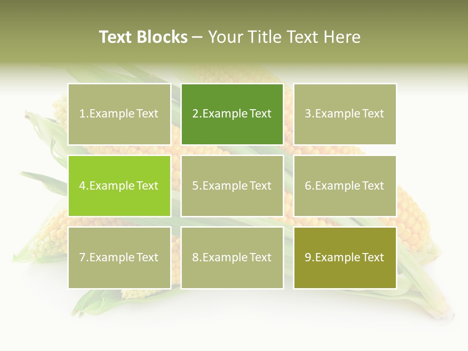 Grain Wet Nutrition PowerPoint Template