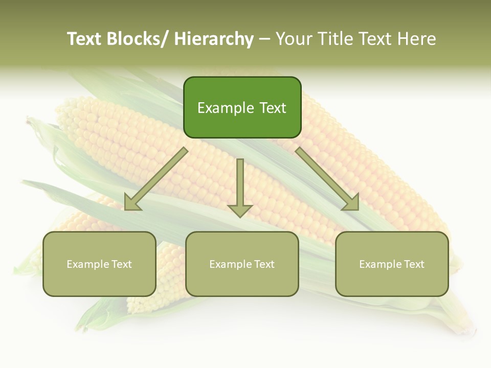 Grain Wet Nutrition PowerPoint Template