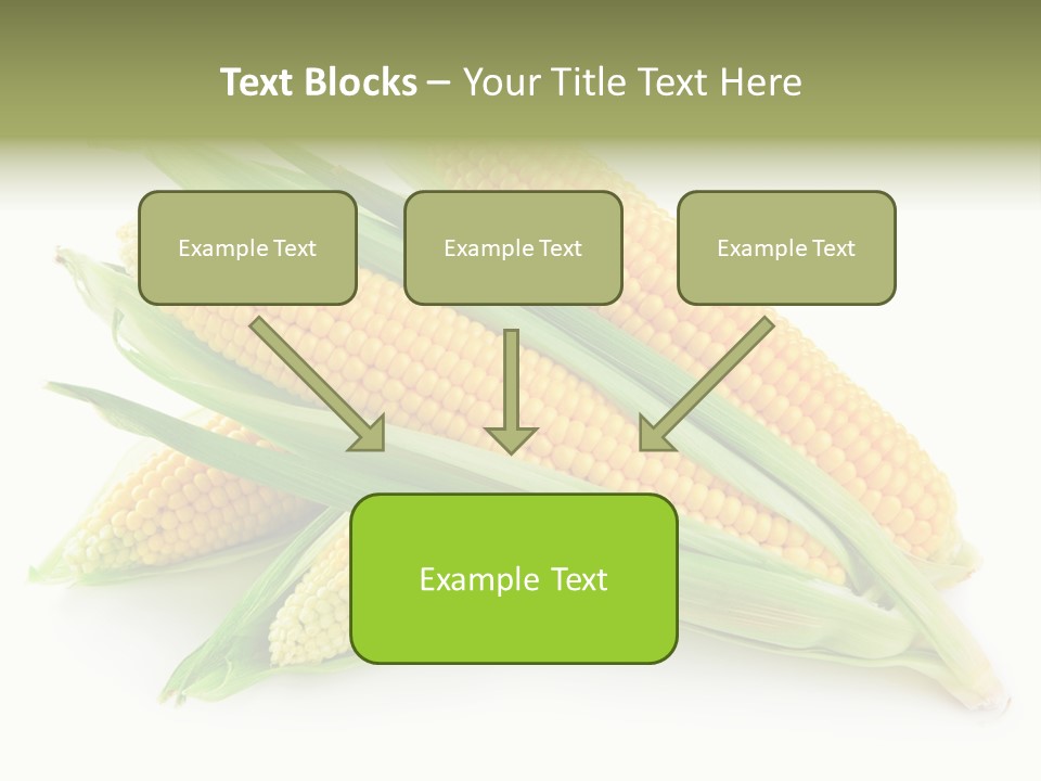 Grain Wet Nutrition PowerPoint Template