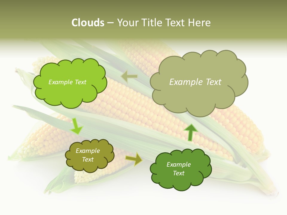 Grain Wet Nutrition PowerPoint Template