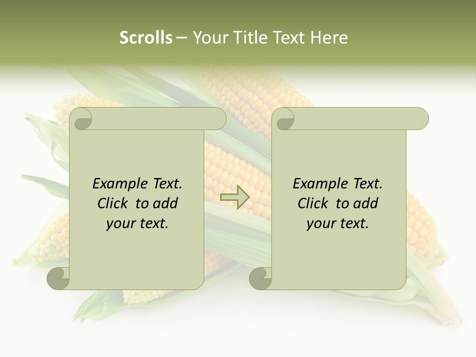 Grain Wet Nutrition PowerPoint Template
