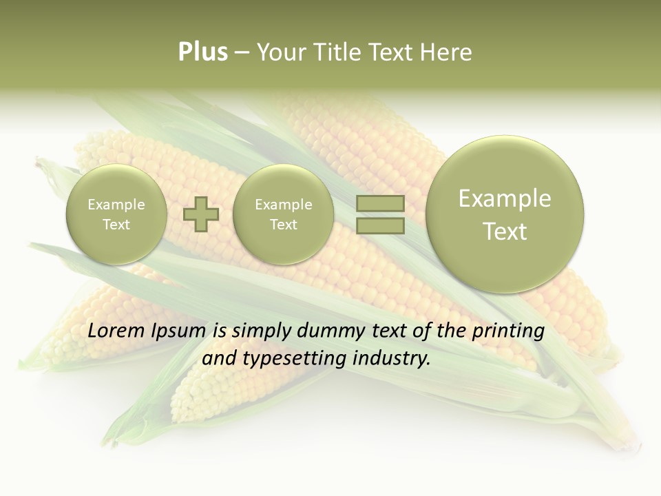 Grain Wet Nutrition PowerPoint Template
