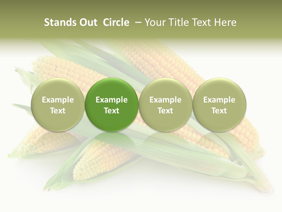 Grain Wet Nutrition PowerPoint Template