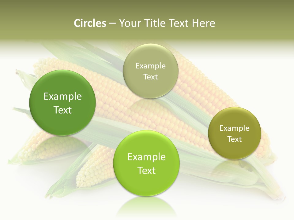 Grain Wet Nutrition PowerPoint Template