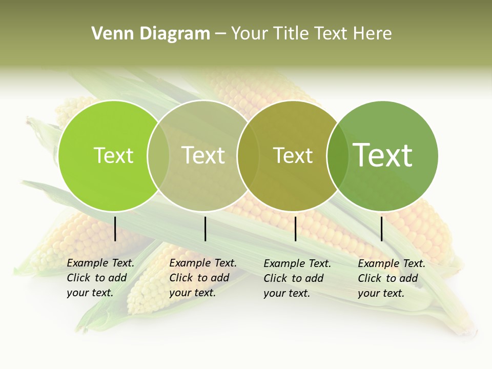 Grain Wet Nutrition PowerPoint Template
