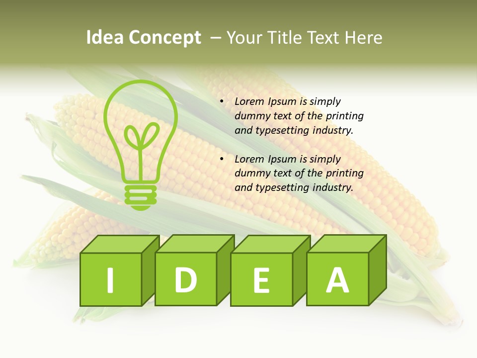 Grain Wet Nutrition PowerPoint Template