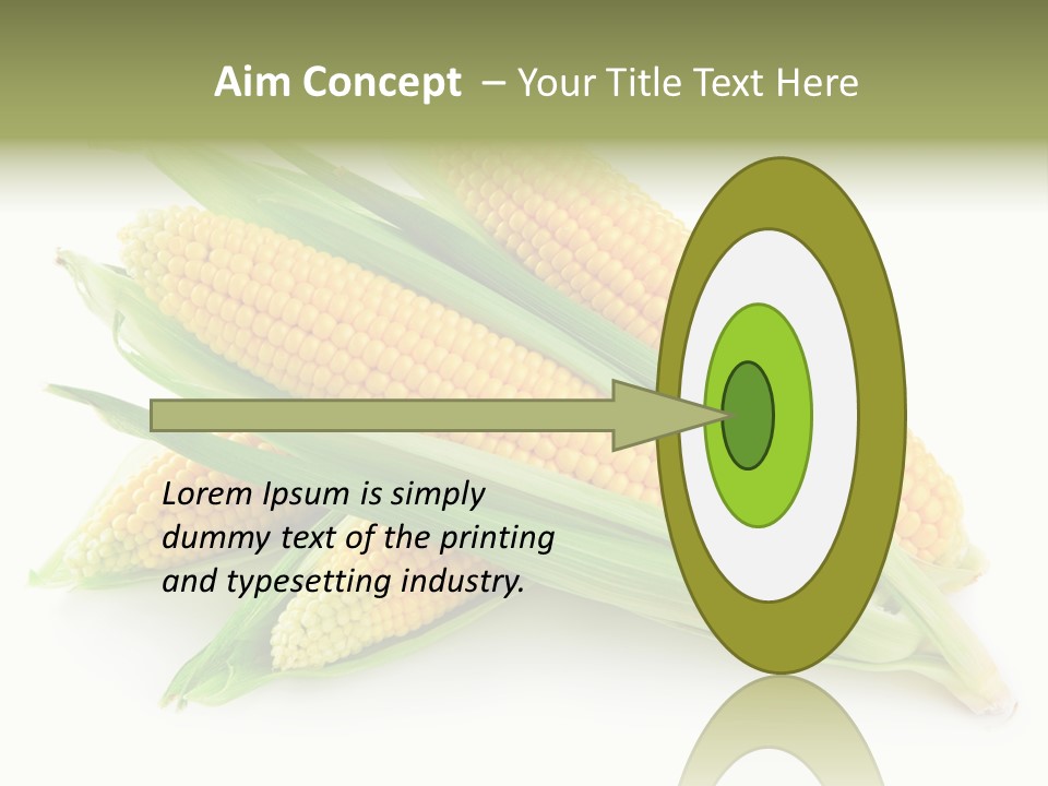 Grain Wet Nutrition PowerPoint Template