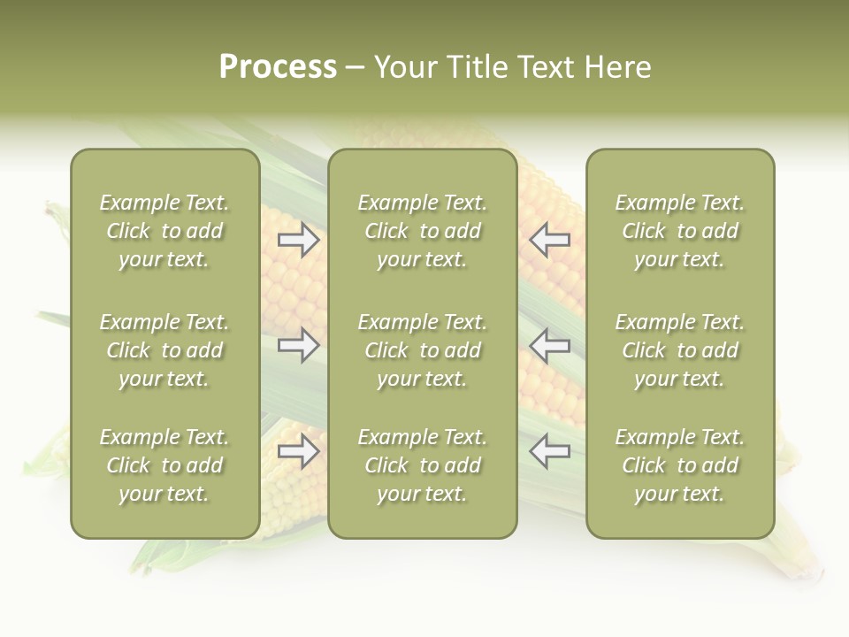 Grain Wet Nutrition PowerPoint Template