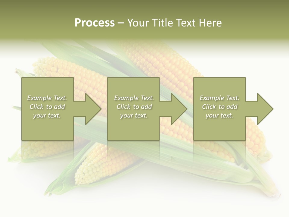 Grain Wet Nutrition PowerPoint Template