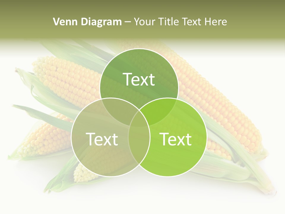 Grain Wet Nutrition PowerPoint Template