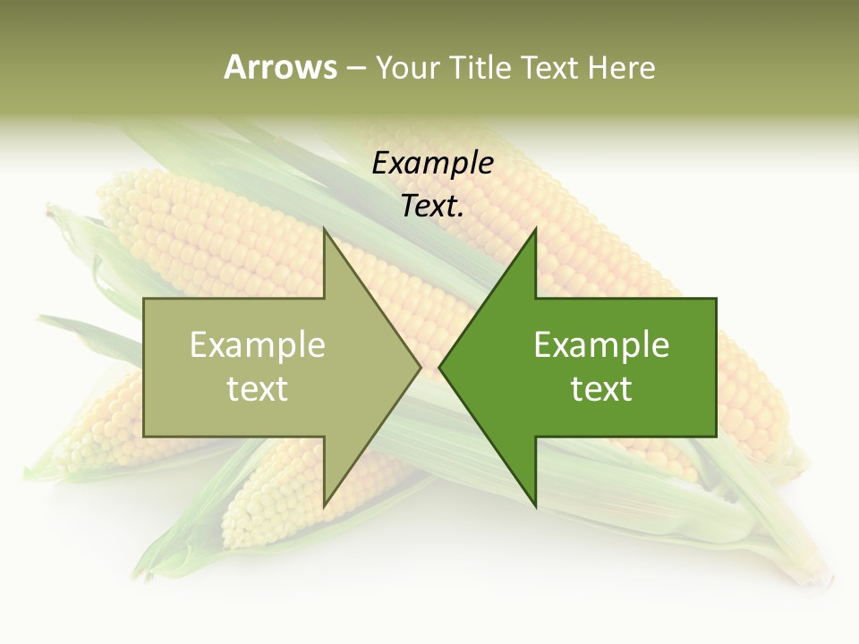 Grain Wet Nutrition PowerPoint Template