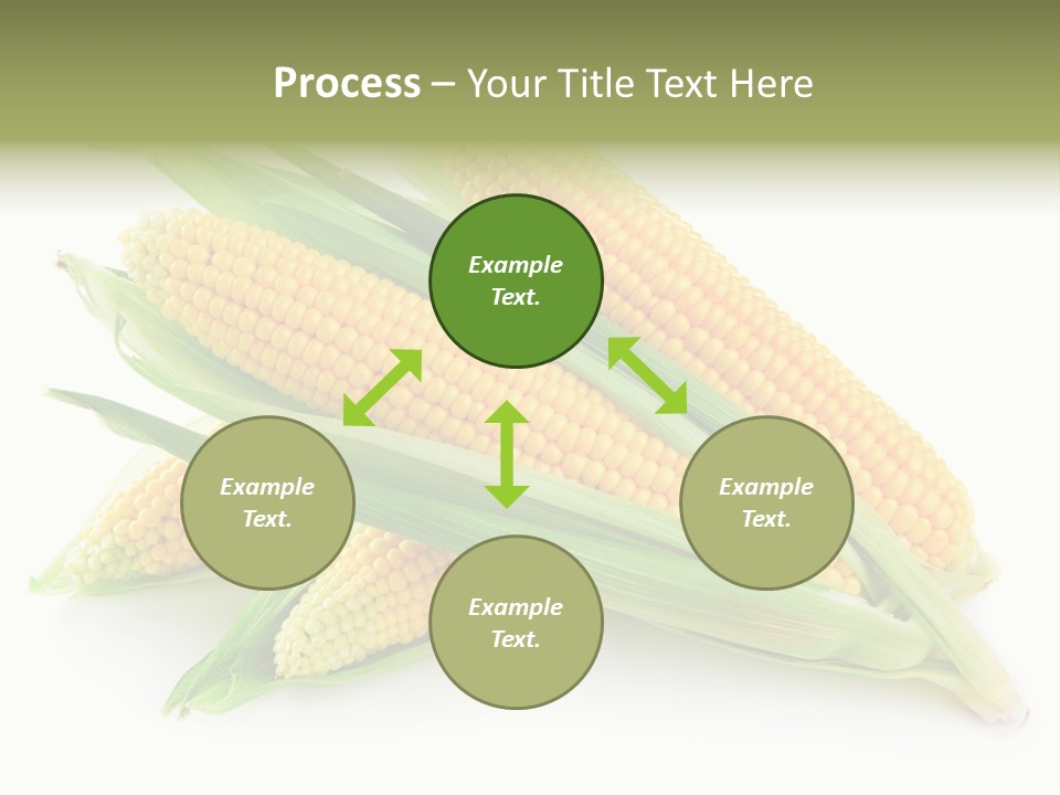 Grain Wet Nutrition PowerPoint Template