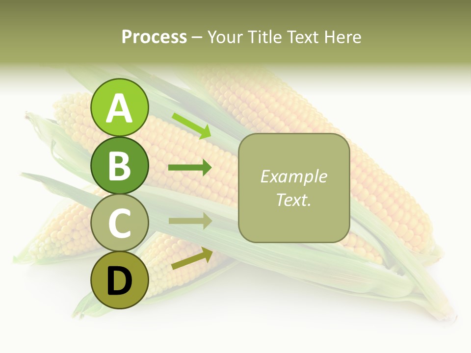 Grain Wet Nutrition PowerPoint Template