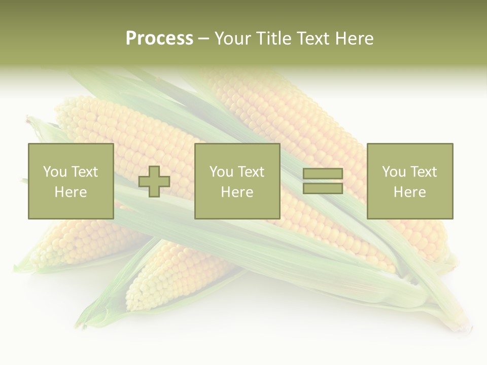 Grain Wet Nutrition PowerPoint Template