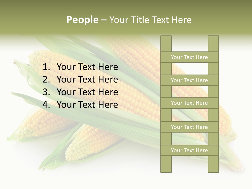 Grain Wet Nutrition PowerPoint Template