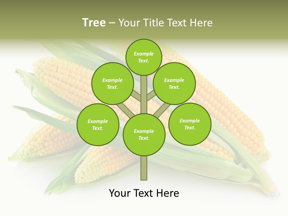 Grain Wet Nutrition PowerPoint Template