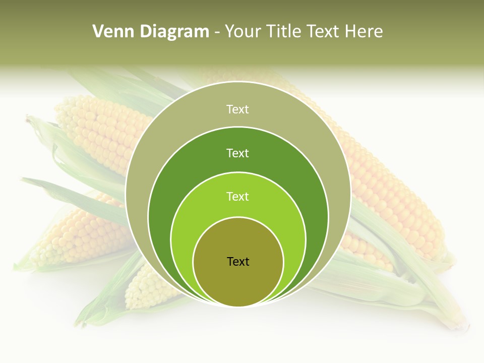 Grain Wet Nutrition PowerPoint Template